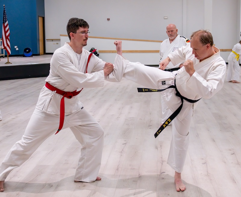 Adults TaeKwon-Do